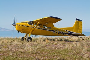 Cessna 185 Skywagon at a backcountry airstrip - Tailwheel Part 2