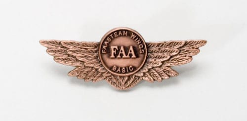 The FAA WINGS program basic pin
