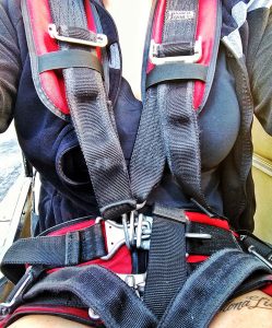 the harness I wore during my first aerobatic flight
