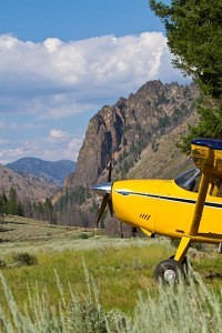 Cessna 185 Skywagon