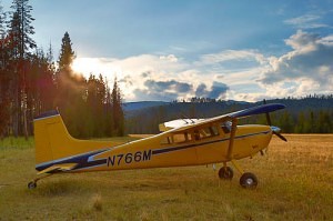 Cessna 185 Skywagon