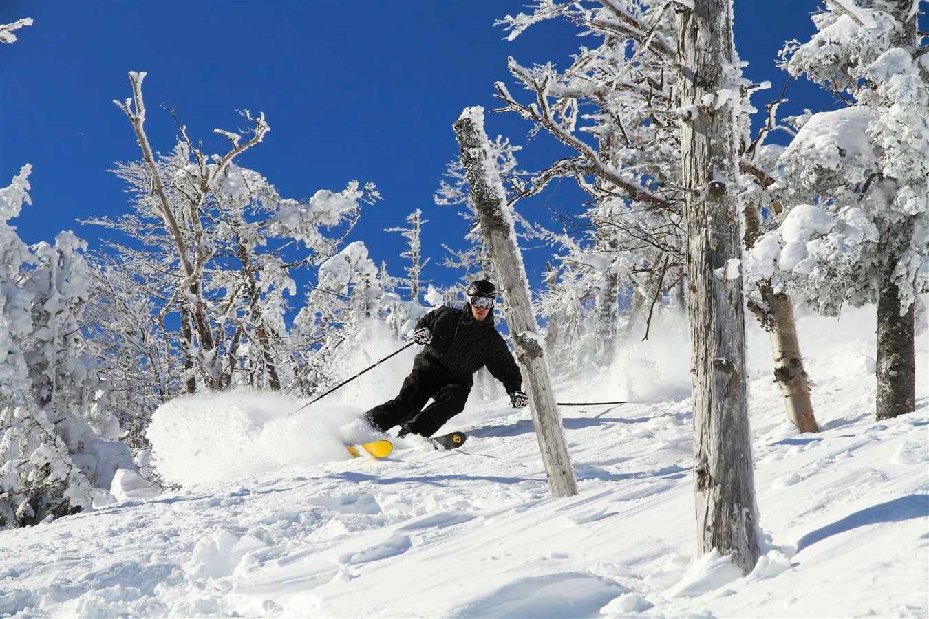 Skiing through the slopes of Whitehead Mountain - Access through Lake Placid Airport