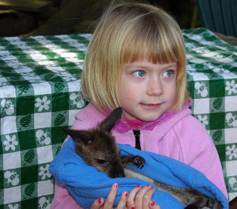 Girl holding a baby kangaroo