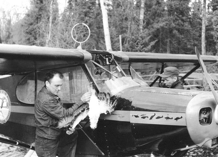 Two pilots removing a Bird from a canopy after a bird strike