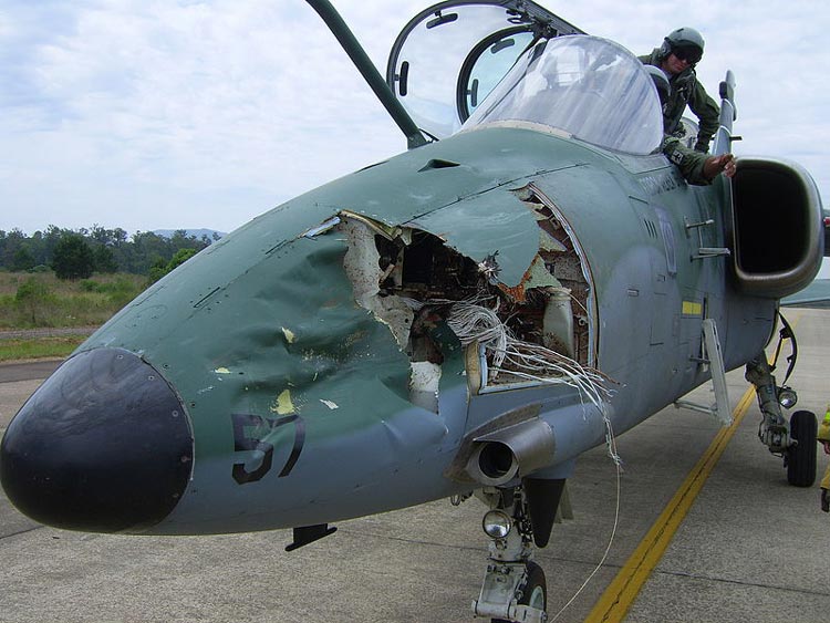 Fighter Plane after a bird strike