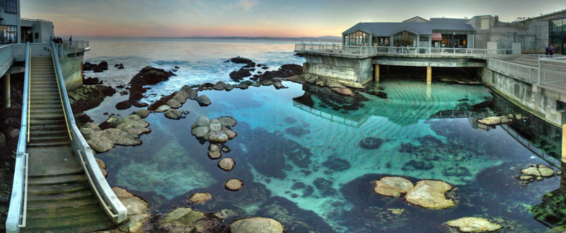 The Monterey Bay Aquarium