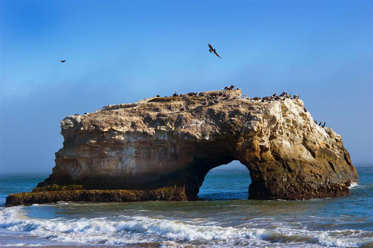 Natural Bridges State Beach