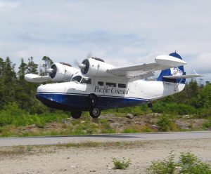 grumman goose flying low over the ground