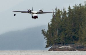 descending grumman goose