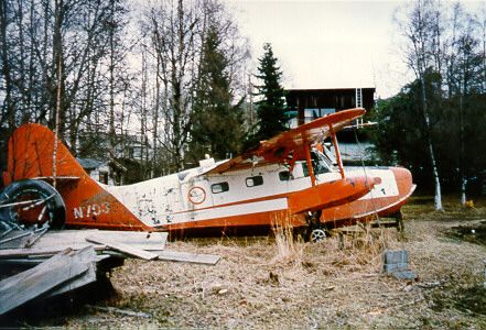 Grumman Goose N703 sitting in the weeds.